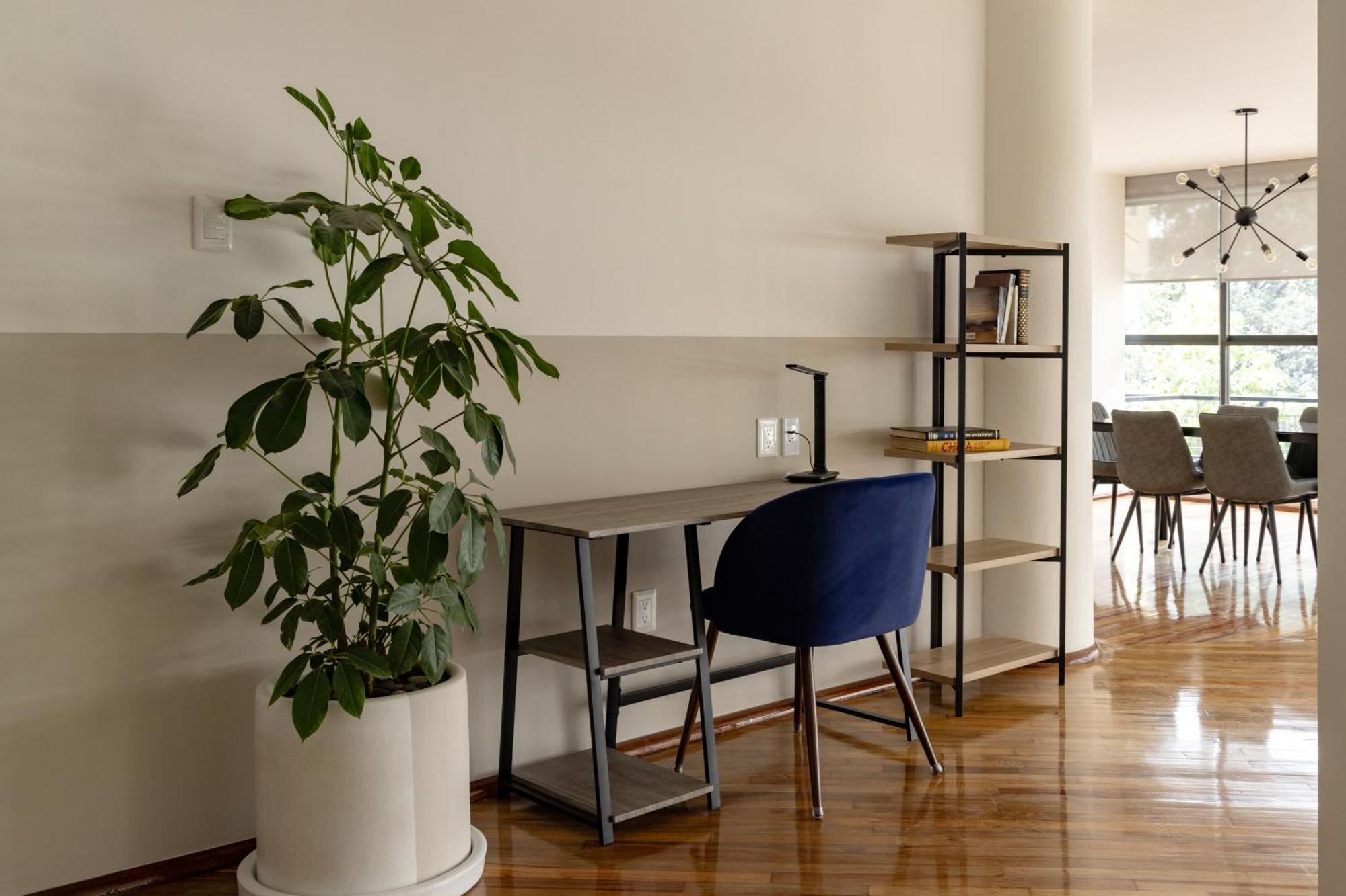 멕시코 시 Lope 226, Polanco 아파트 외부 사진